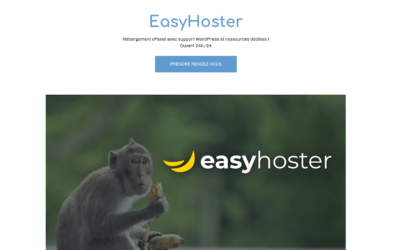 EasyHoster.business.site : l’actualité d’un hébergeur web